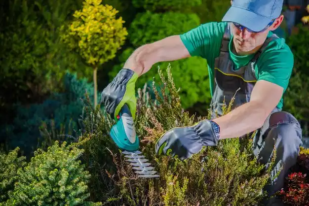 landscaping services Tylertown